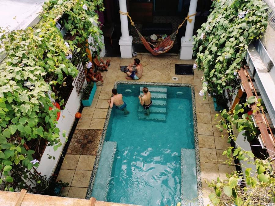 Baboon Hostel 圣玛尔塔 外观 照片